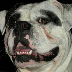 Meet your Posher, Victor